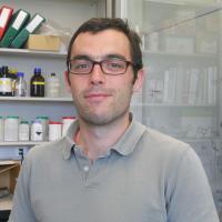 Dr. Martin Arthuis Dr. Martin Arthuis